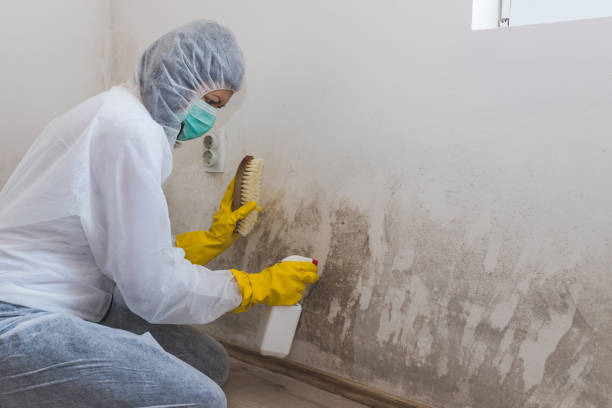 Home Mold Removal in Utqiagvik, AK
