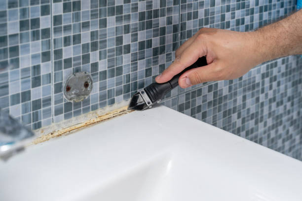 Best Emergency Mold Removal  in Utqiagvik, AK